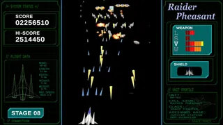 Скриншот 7 к игре Raider Pheasant