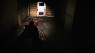 Скриншот 5 к игре COVR