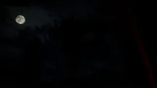 Скриншот 4 к игре Echo Ridge