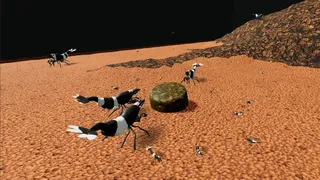 Скриншот 2 к игре Shrimpscape