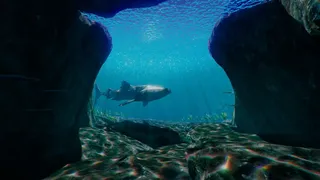 Скриншот 5 к игре What Lies Beneath