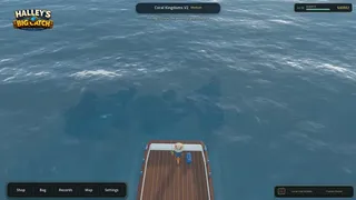 Скриншот 3 к игре Halley's Big Catch