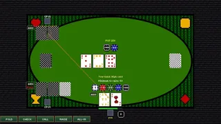 Скриншот 1 к игре Definitely Not Poker