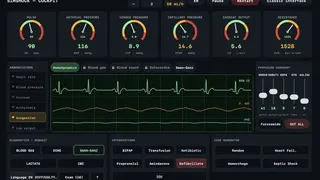 Скриншот 1 к игре HemoSim