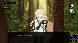 Скриншот 4 к игре 看黑鸟的十三种方式