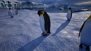 Скриншот 8 к игре Life of a Penguin