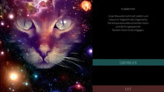 Скриншот 7 к игре Purrfect Galaxies
