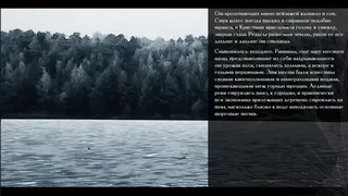 Скриншот 4 к игре The Apple Tree