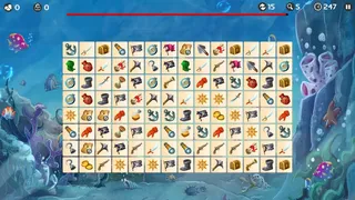 Скриншот 1 к игре Match Connect Challenge