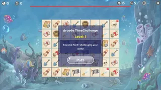 Скриншот 4 к игре Match Connect Challenge