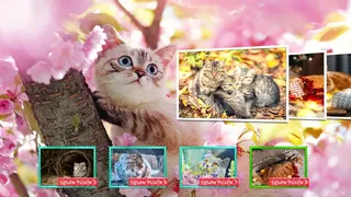 Скриншот 1 к игре Cat's Life Jigsaw Puzzles