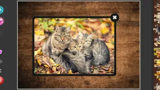 Скриншот 5 к игре Cat's Life Jigsaw Puzzles