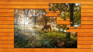 Скриншот 8 к игре Golden Leaf Jigsaw Puzzles