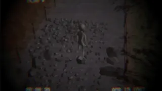 Скриншот 3 к игре Homing Instinct