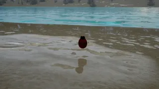Скриншот 2 к игре The Egg