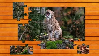 Скриншот 4 к игре Wild Lynx Jigsaw
