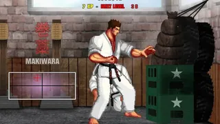 Скриншот 1 к игре Karate Master 2 Knock Down Blow