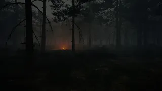 Скриншот 4 к игре Ardena
