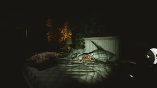 Скриншот 7 к игре Crib