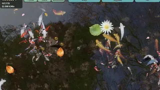 Скриншот 3 к игре Tranquil Koi 鯉の池