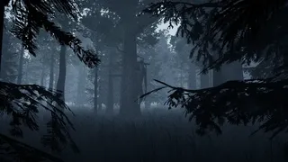 Скриншот 5 к игре Skinwalkers Valley