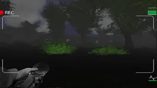 Скриншот 3 к игре Deadly Forest