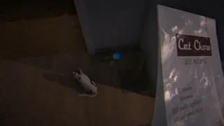 Скриншот 3 к игре He Followed Me