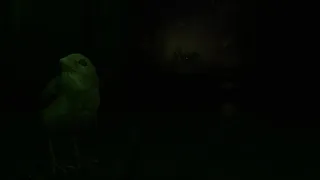 Скриншот 8 к игре SPARROW