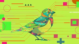 Скриншот 1 к игре Avian Enigma