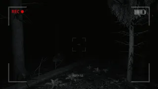 Скриншот 4 к игре The Rake Sees You