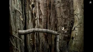 Скриншот 5 к игре Samorost 2