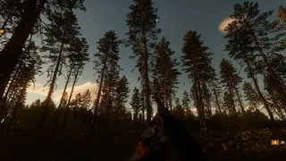 Скриншот 7 к игре BULT: Hunting simulator