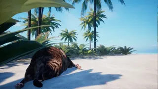 Скриншот 1 к игре Chonky Cat