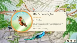 Скриншот 4 к игре Birdfull