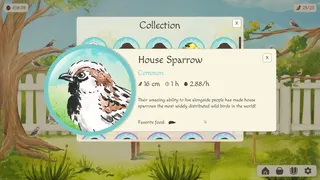 Скриншот 7 к игре Birdfull
