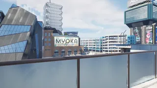 Скриншот 3 к игре Myoka: First Person View