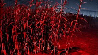 Скриншот 5 к игре FearPark Chapter 1