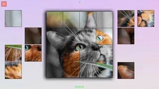 Скриншот 1 к игре TitTok Kitty