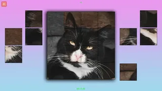 Скриншот 5 к игре TitTok Kitty