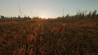 Скриншот 8 к игре Man and Dog