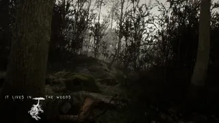 Скриншот 1 к игре ItLivesInTheWoods