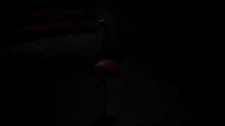 Скриншот 8 к игре SCP: Scavenger Project
