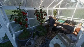 Скриншот 7 к игре Ardem