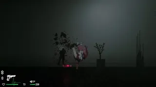 Скриншот 8 к игре Leyla In Veil