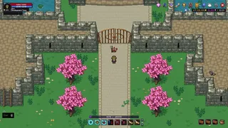 Скриншот 1 к игре Fantasy Online 2