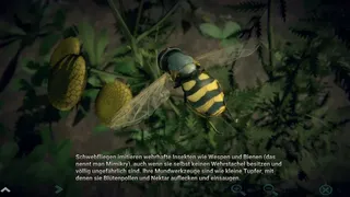 Скриншот 7 к игре Insect Worlds