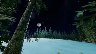Скриншот 5 к игре Bushcraft Survival