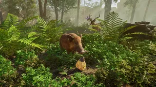 Скриншот 4 к игре Wild Terrain