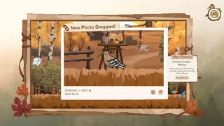 Скриншот 6 к игре Birdwatching Notebook