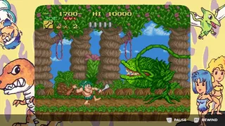 Скриншот 1 к игре Joe & Mac Retro Collection